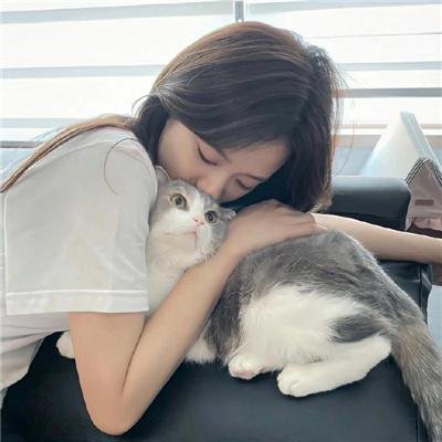 凶铃契约